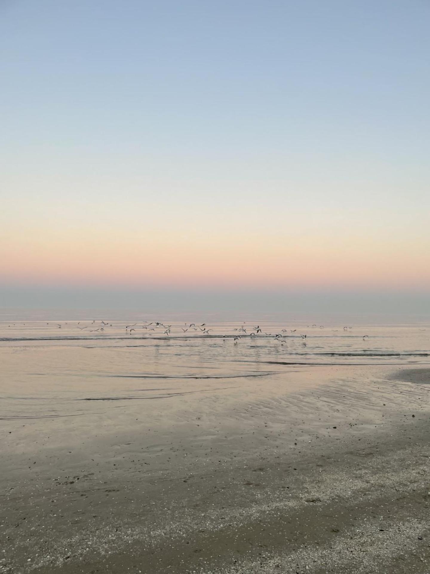Hotel Napoleon Riccione Zewnętrze zdjęcie