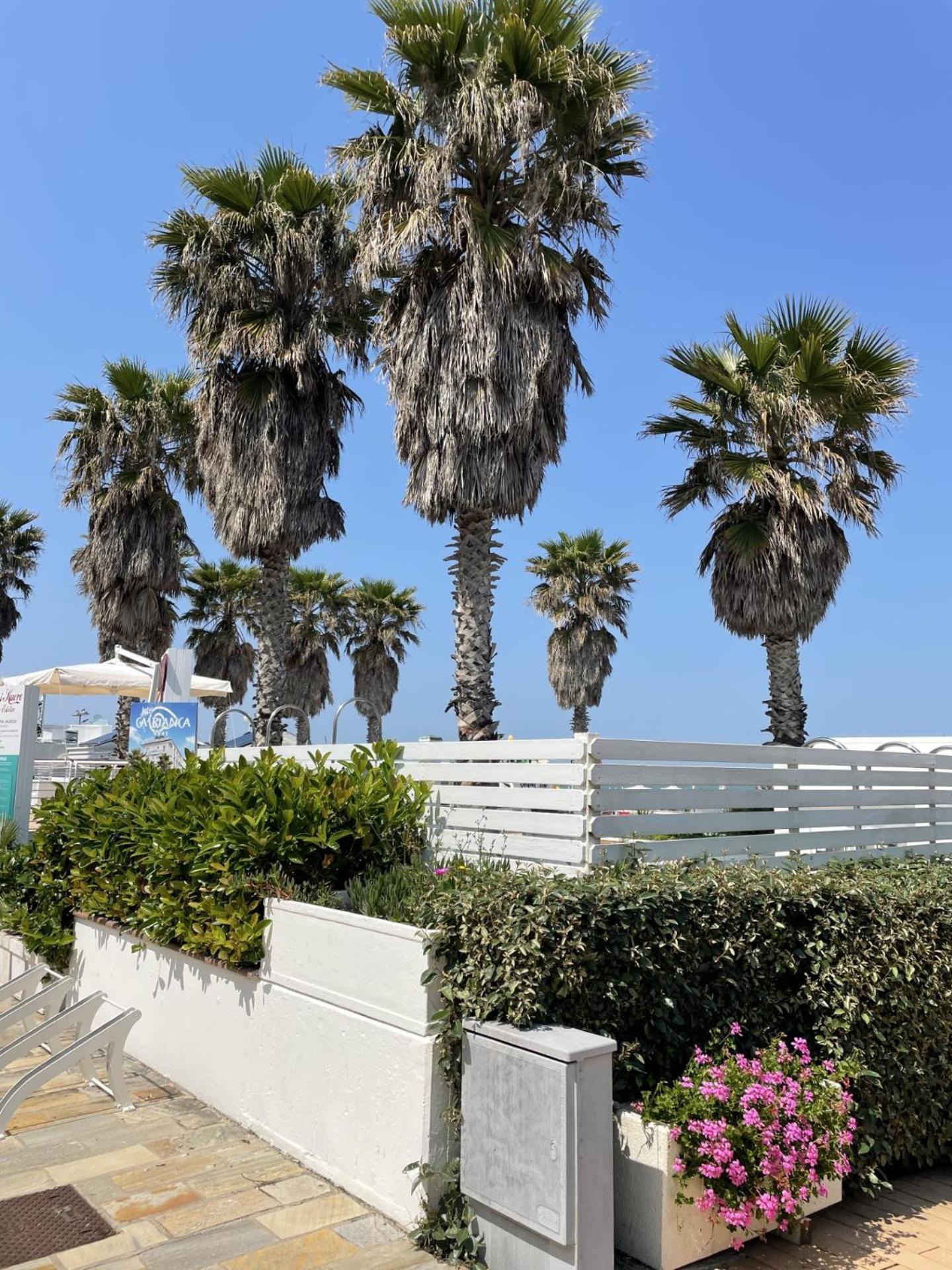 Hotel Napoleon Riccione Zewnętrze zdjęcie